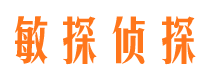 浪卡子敏探私家侦探公司